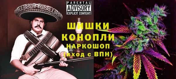 МДПВ Белокуриха