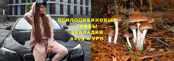 МДПВ Белокуриха