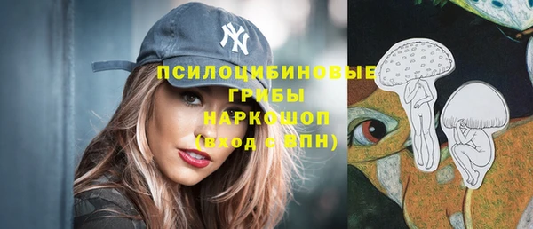 МДПВ Белокуриха